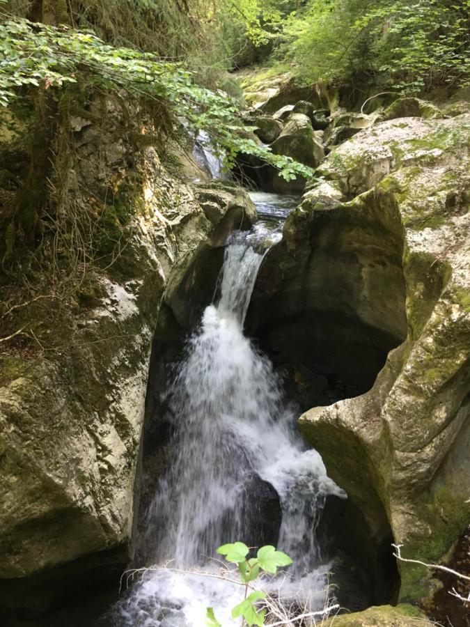 Chambres D'Hotes Des Bauges Route 26 57 La Motte-en-Beauges Dış mekan fotoğraf